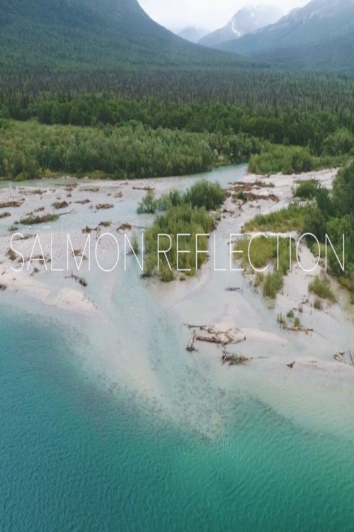 Salmon Reflection official trailer poster