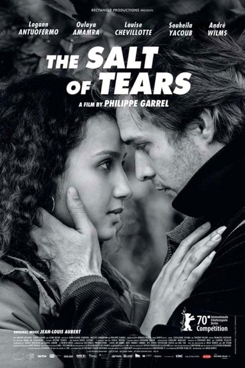 The Salt of Tears official trailer poster