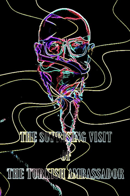 The Suprising Visit Of The Turkish Ambassador official trailer poster