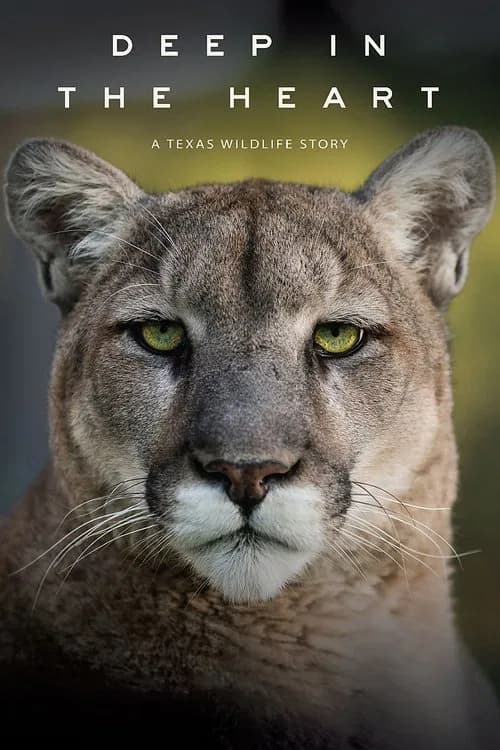 Deep in the Heart: A Texas Wildlife Story official trailer poster