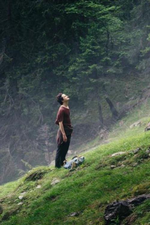 Der Wanderer official trailer poster