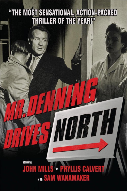 Mr. Denning Drives North official trailer poster