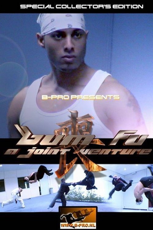 Bum Fu: A Joint Venture official trailer poster