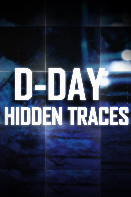 D-Day:  Hidden Traces official trailer poster