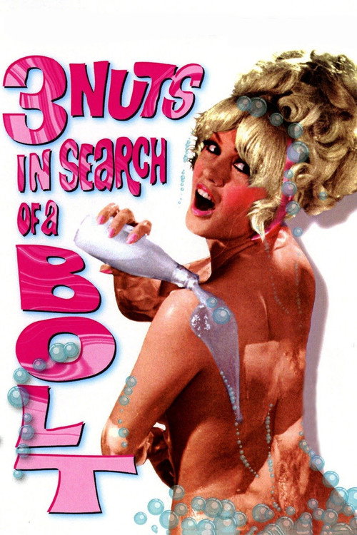 3 Nuts in Search of a Bolt official trailer poster