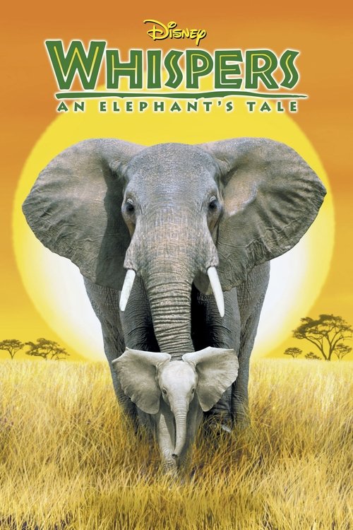 Whispers: An Elephant's Tale official trailer poster