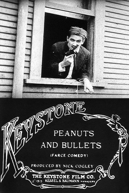 Peanuts and Bullets official trailer poster