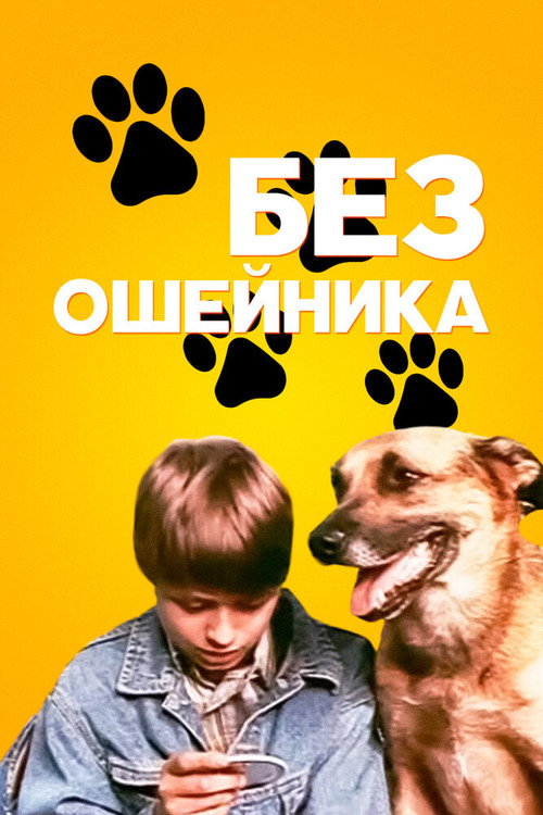 Without a Collar official trailer poster