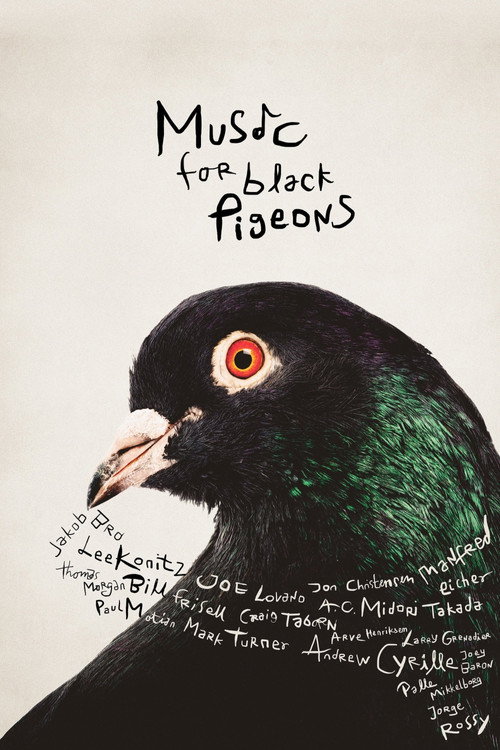 Music for Black Pigeons official trailer poster