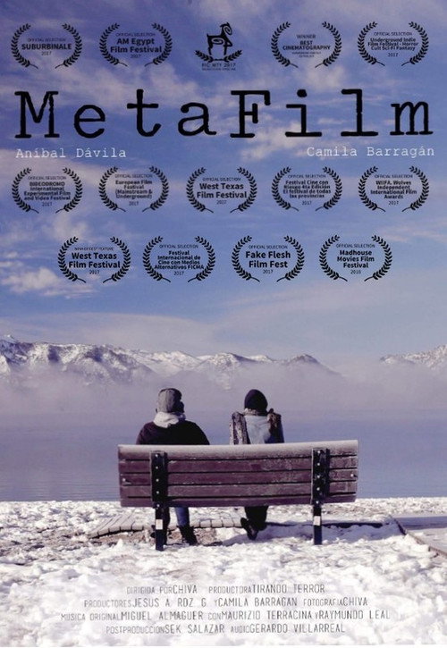 MetaFilm official trailer poster