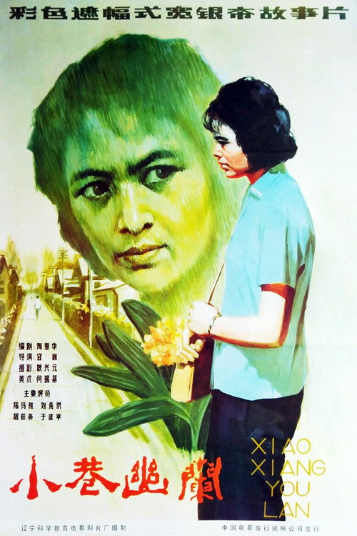 小巷幽兰 official trailer poster