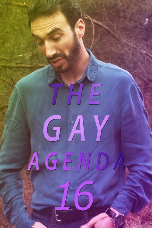 The Gay Agenda 16 official trailer poster