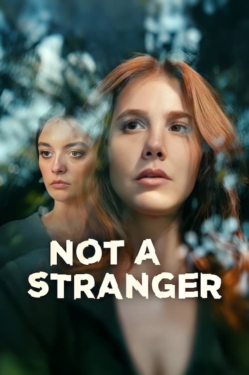 Not a Stranger official trailer poster