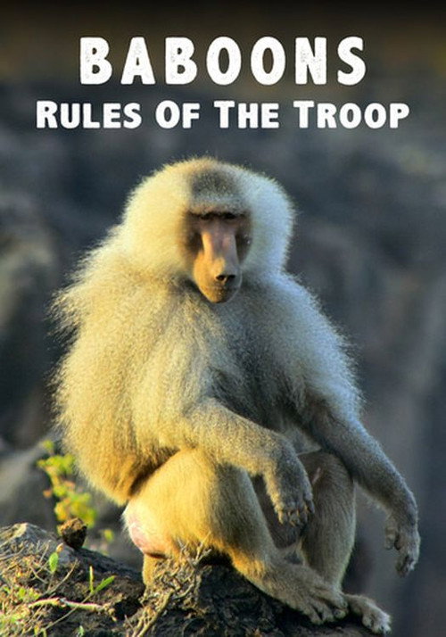 Baboons: Rules of the Troop official trailer poster