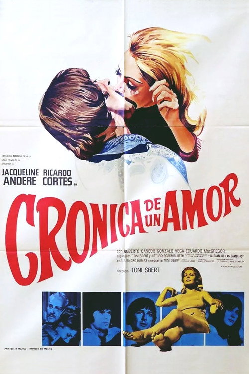 Chronicle of a Love official trailer poster