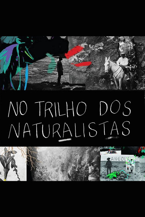 No Trilho dos Naturalistas: Angola official trailer poster