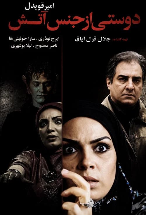 A Friend Made of Fire official trailer poster