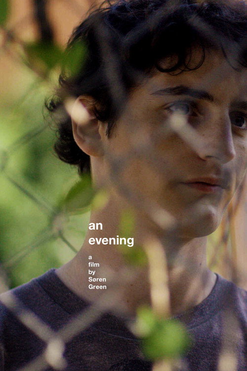 An Evening official trailer poster