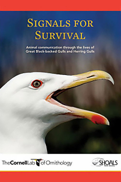 Signals for Survival official trailer poster