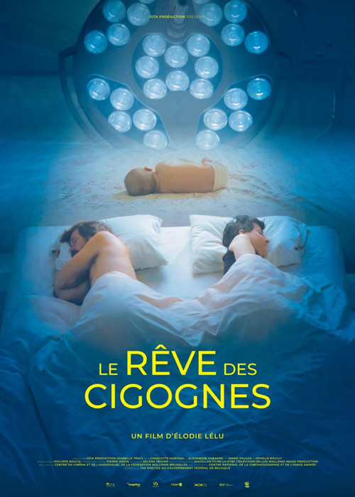 Dream of Storks official trailer poster