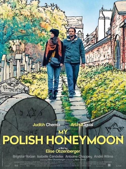 My Polish Honeymoon official trailer poster