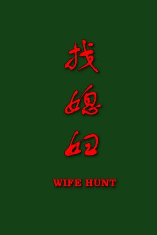 找媳妇 official trailer poster