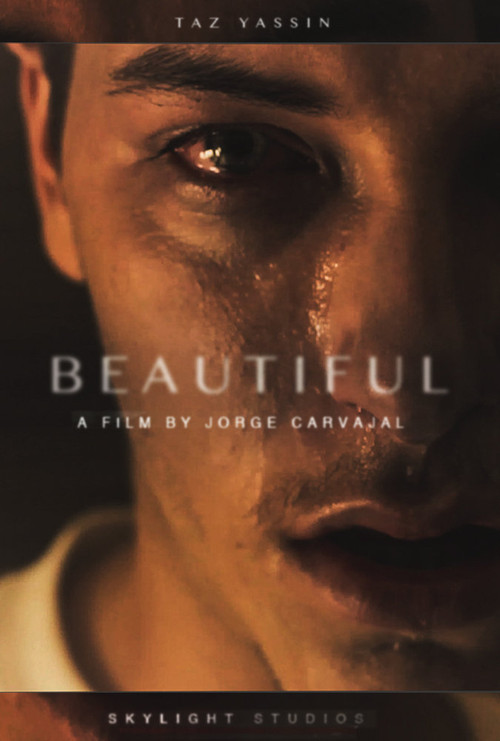 Beautiful official trailer poster