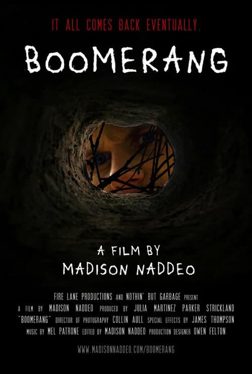 Boomerang official trailer poster