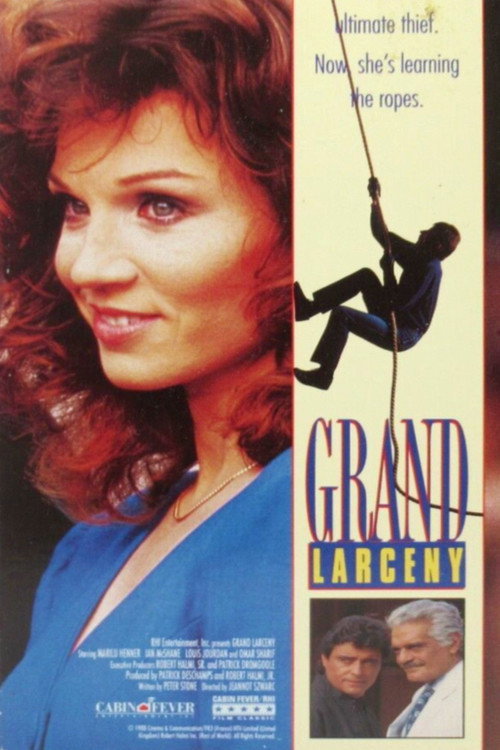 Grand Larceny official trailer poster