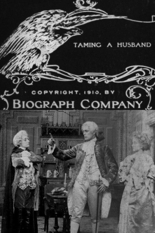 Taming a Husband official trailer poster