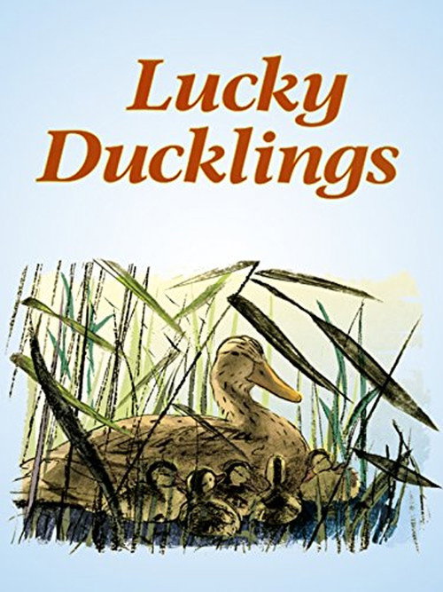 Lucky Ducklings official trailer poster
