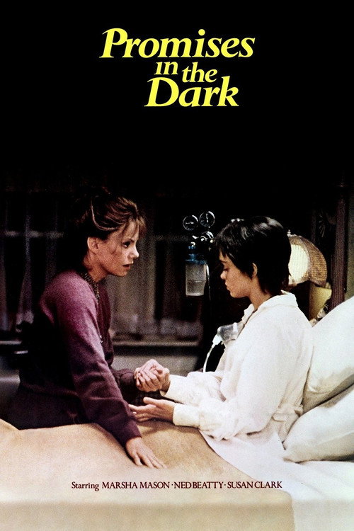 Promises in the Dark official trailer poster