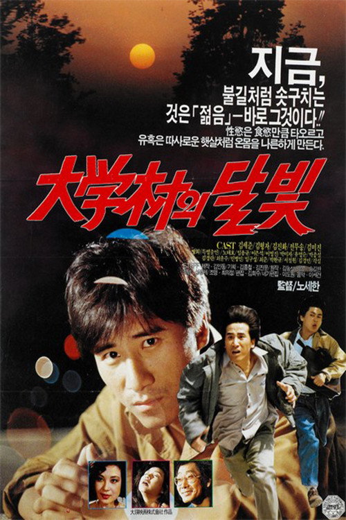 Moonlight in the University Town official trailer poster