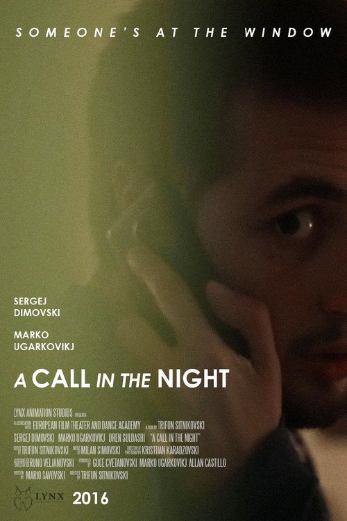 A Call in the Night official trailer poster