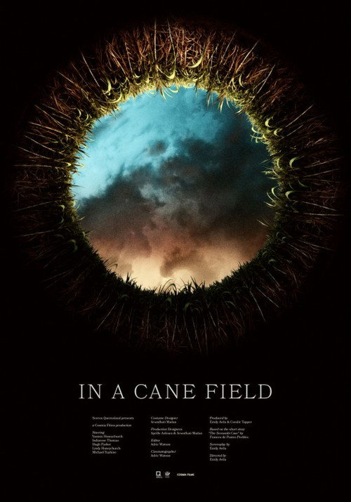 In a Cane Field official trailer poster