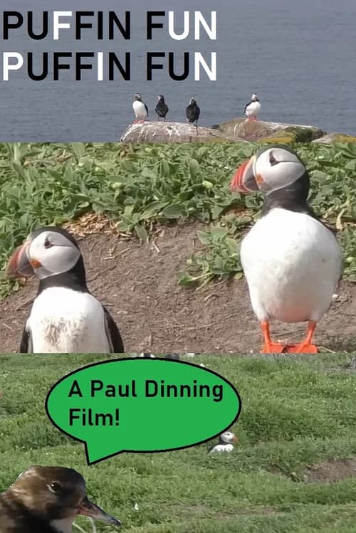 Puffin Fun official trailer poster
