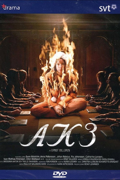 AK3 - Dolda beslut official trailer poster