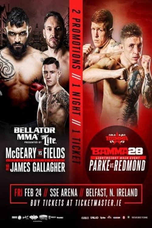 Bellator 173: McGeary vs. McDermott official trailer poster