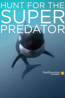 The Search for the Ocean's Super Predator official trailer poster