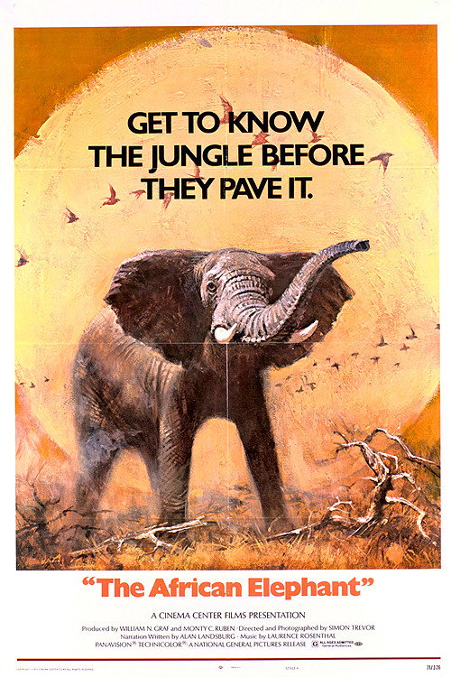The African Elephant official trailer poster
