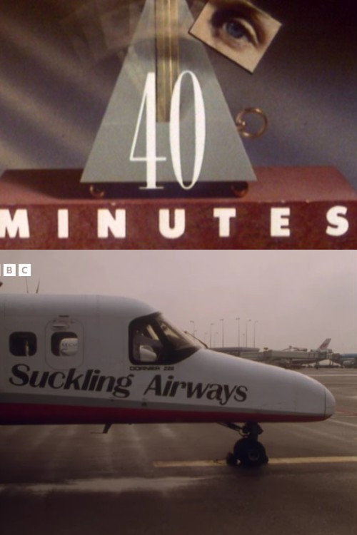 Darling, Let's Start Up an Airline official trailer poster