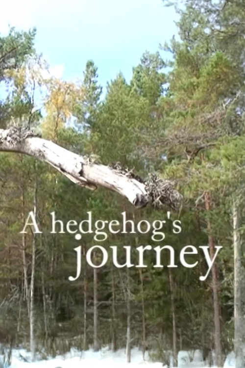 A Hedgehog's Journey official trailer poster