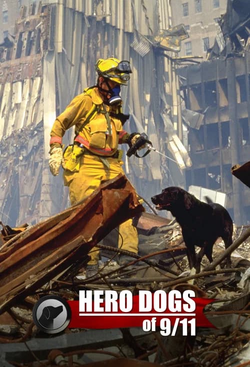 Hero Dogs Of 9/11 official trailer poster