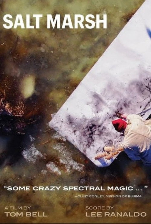 Salt Marsh official trailer poster