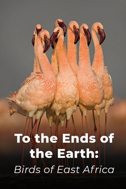 To the Ends of the Earth: Birds of East Africa official trailer poster