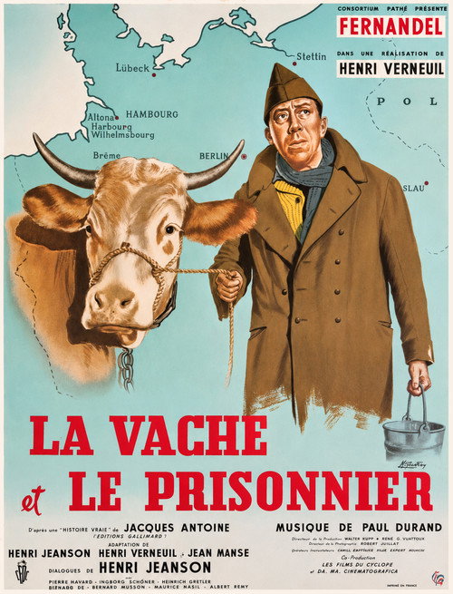 The Cow and I official trailer poster