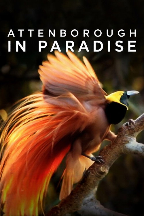 Attenborough in Paradise official trailer poster