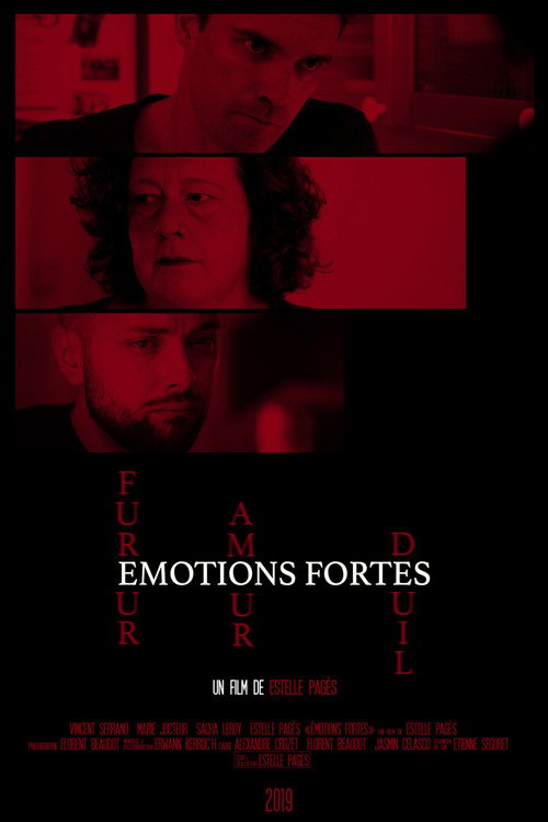 Strong Emotions official trailer poster