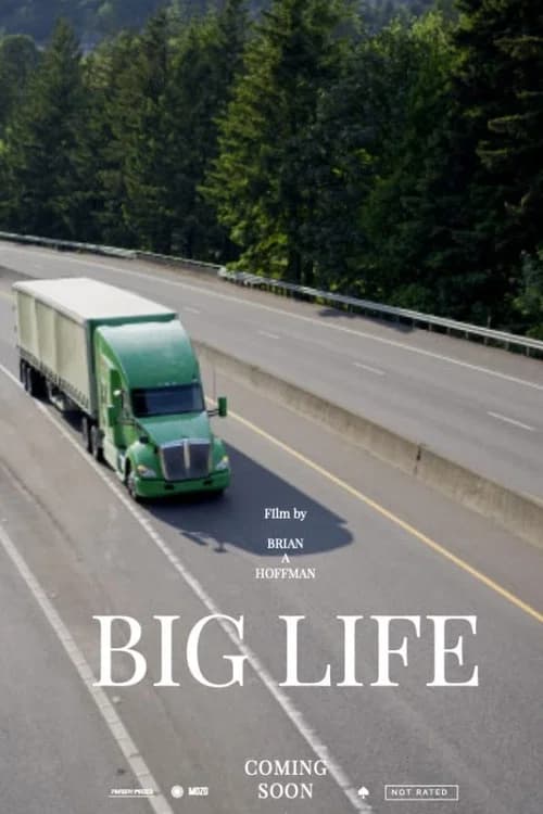 Big Life official trailer poster