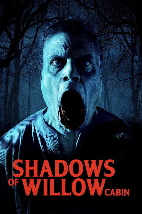 Shadows of Willow Cabin official trailer poster